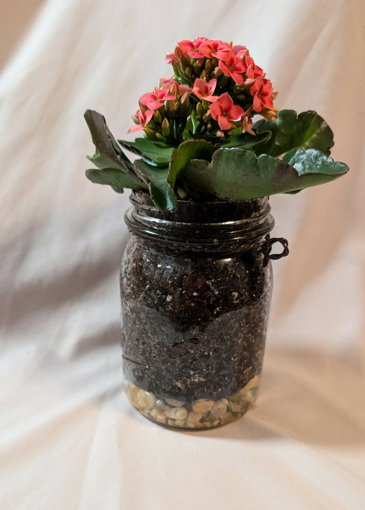 Mason jar planter