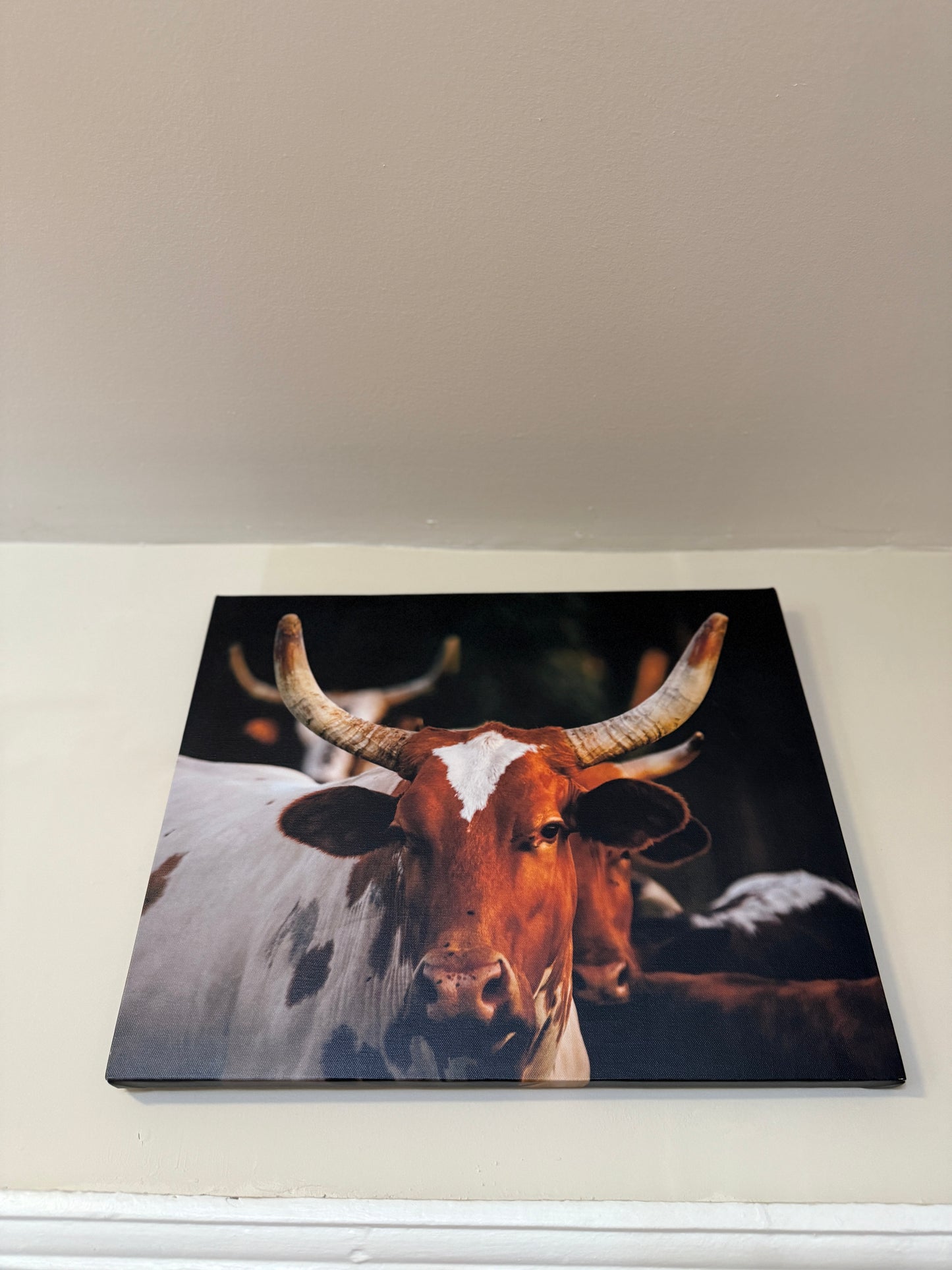 Longhorn Momma Canvas Print 16x20