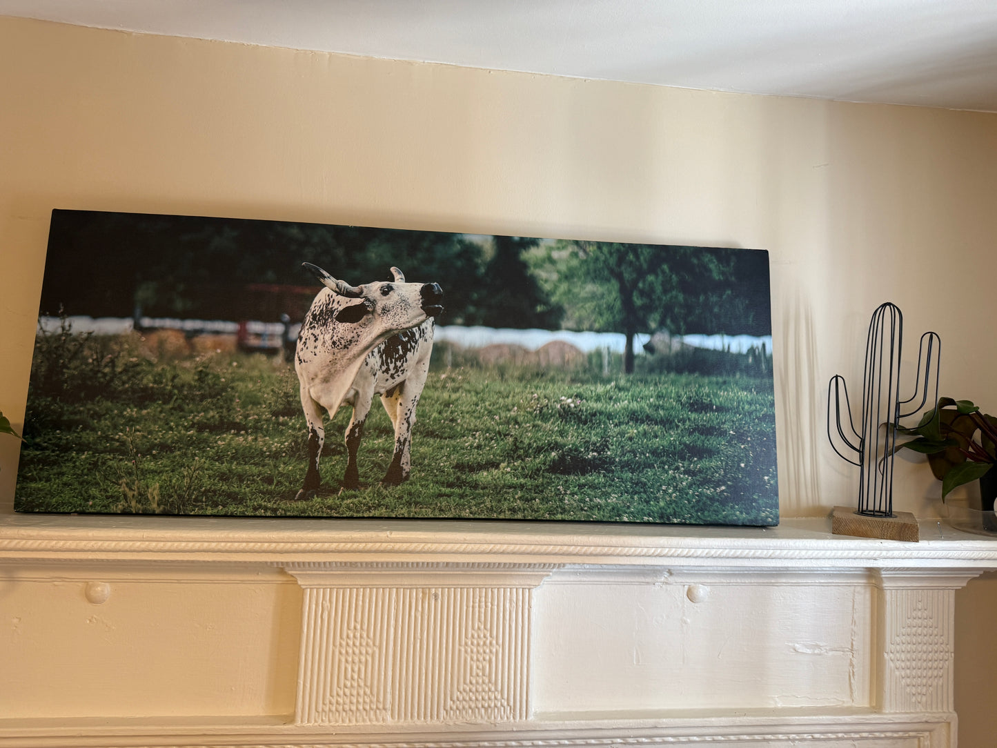 "Moo"-ing Mama Canvas Print 16x40