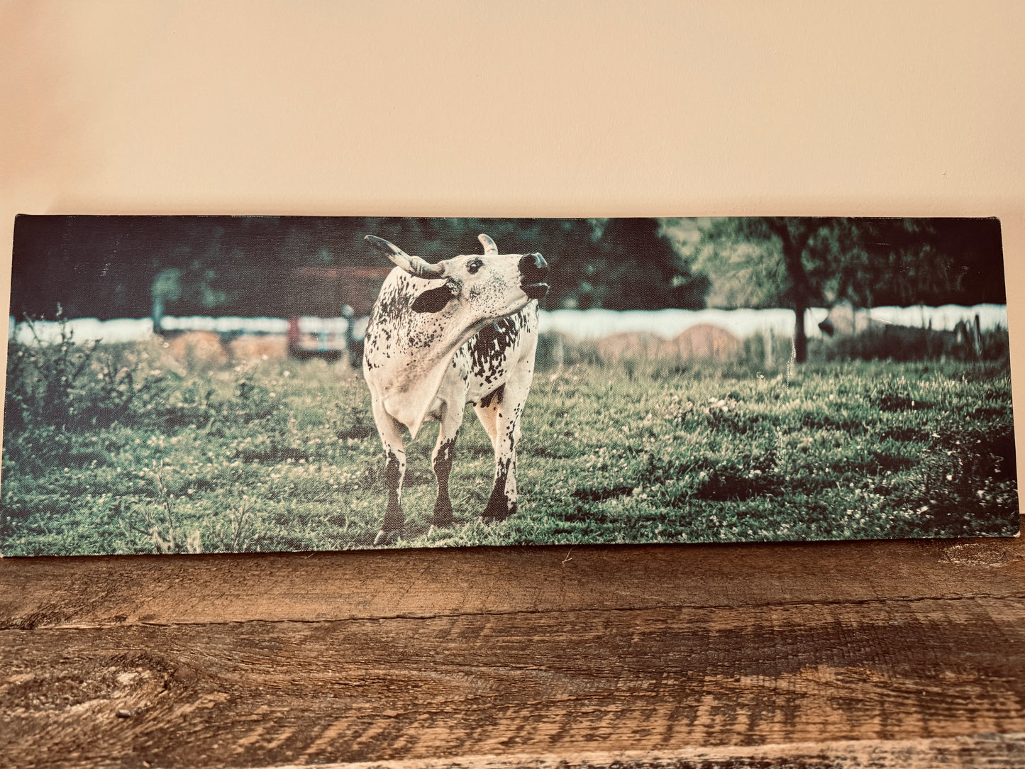 Mooing Mama Canvas SIZE 30x10