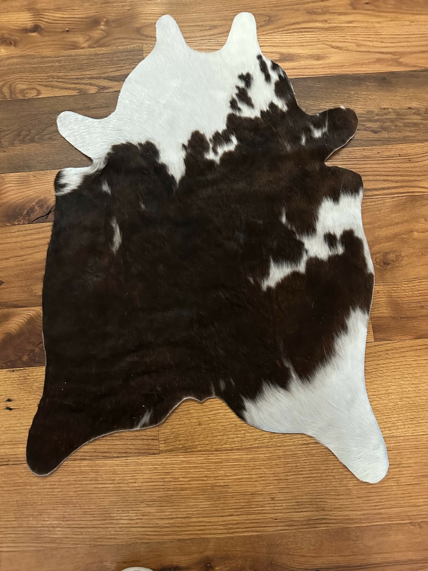 Mini Cowhide #2