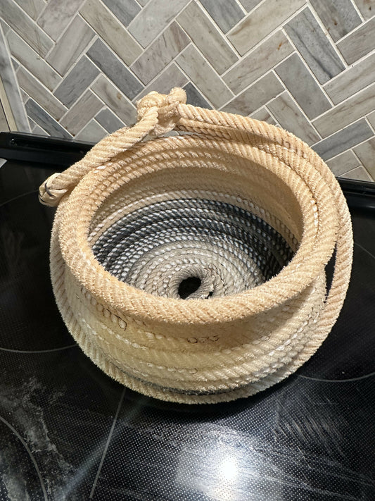 White Bowl