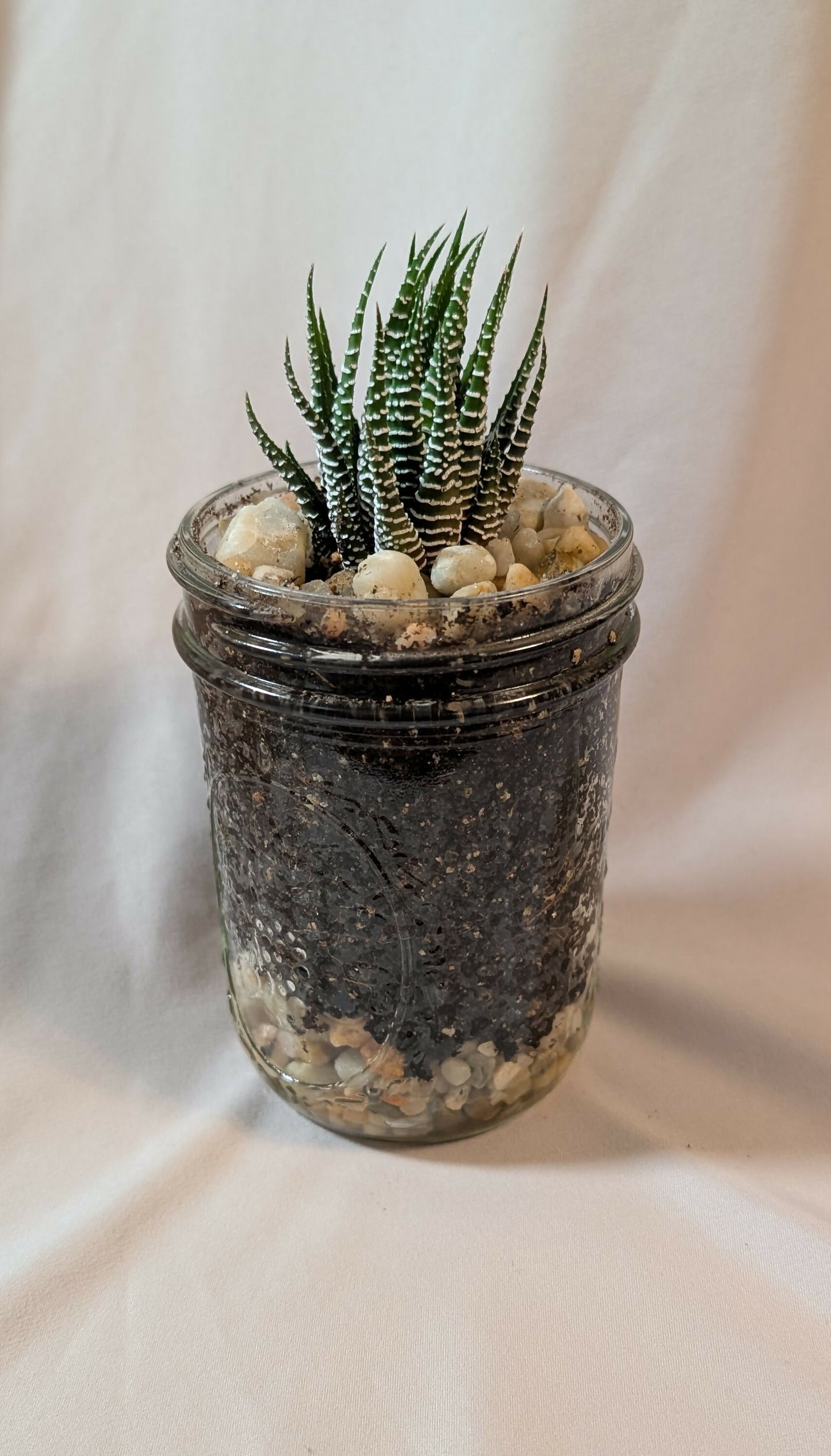 Mason jar planter