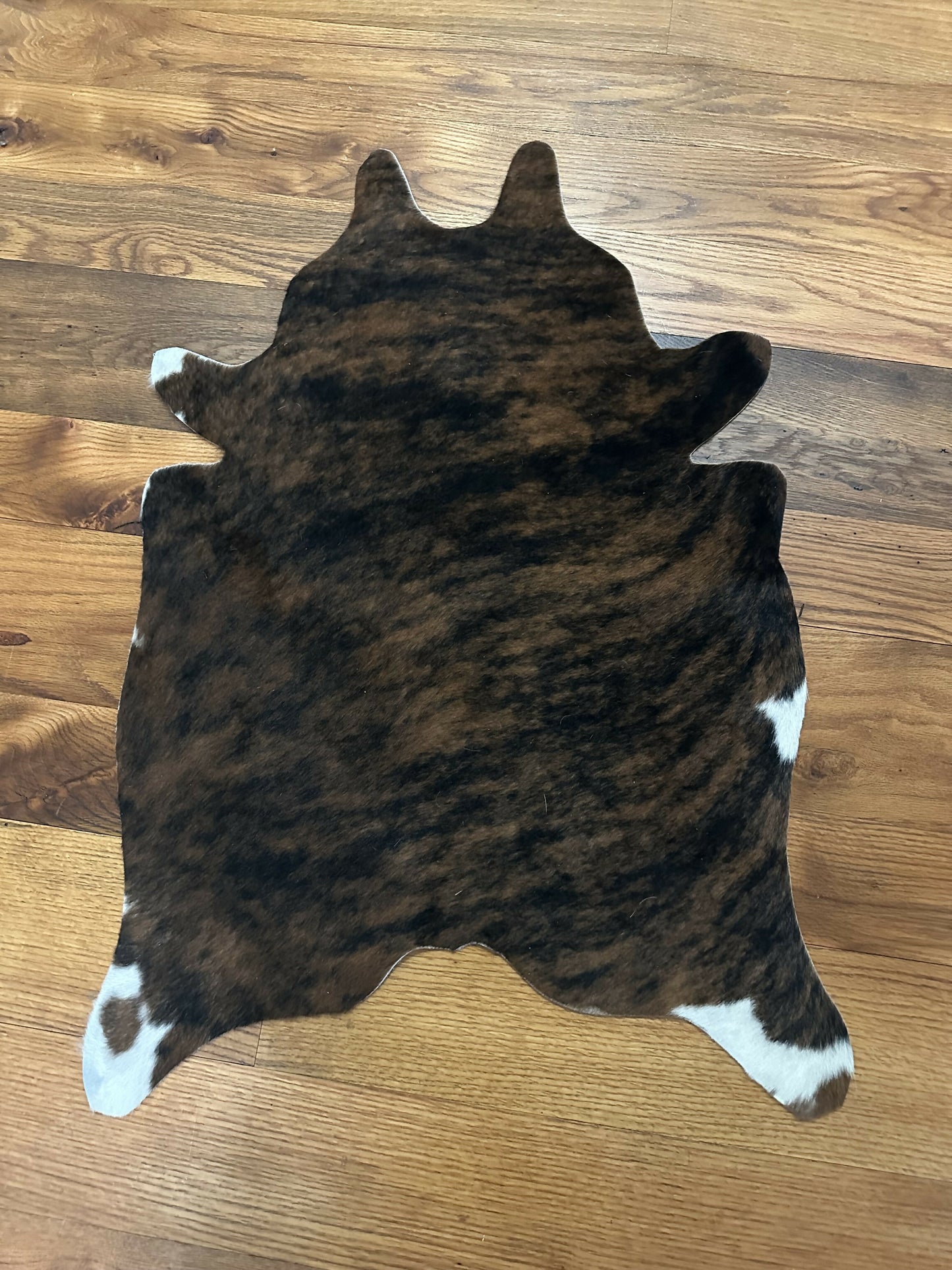 Mini Cowhide #4