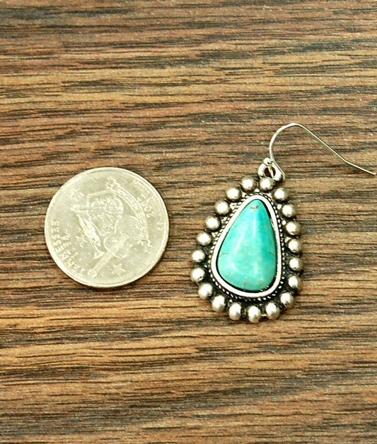 Obshaped Turquoise Earrings