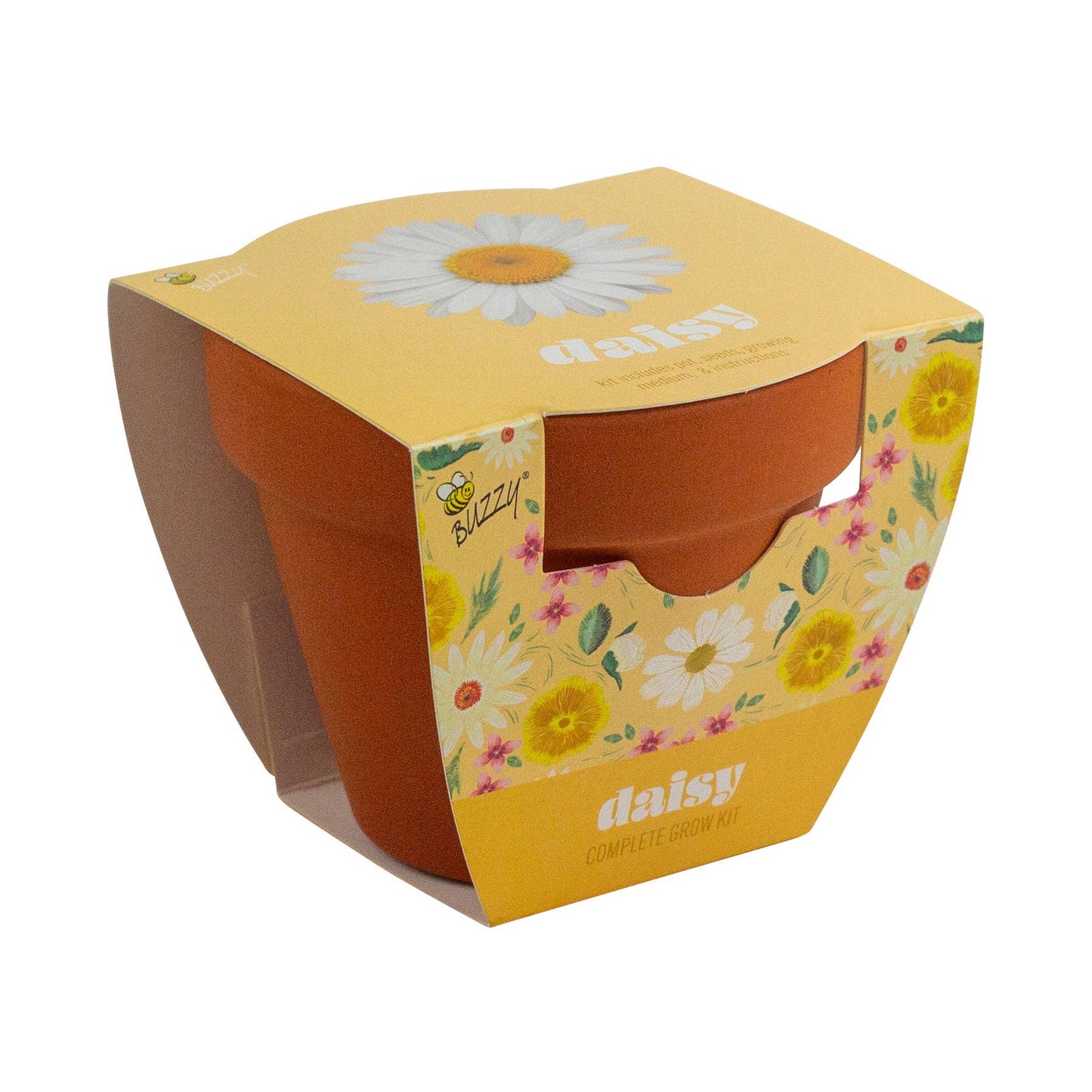 Buzzy Seeds Classic (7cm) Terra Cotta Grow Kit - Daisy