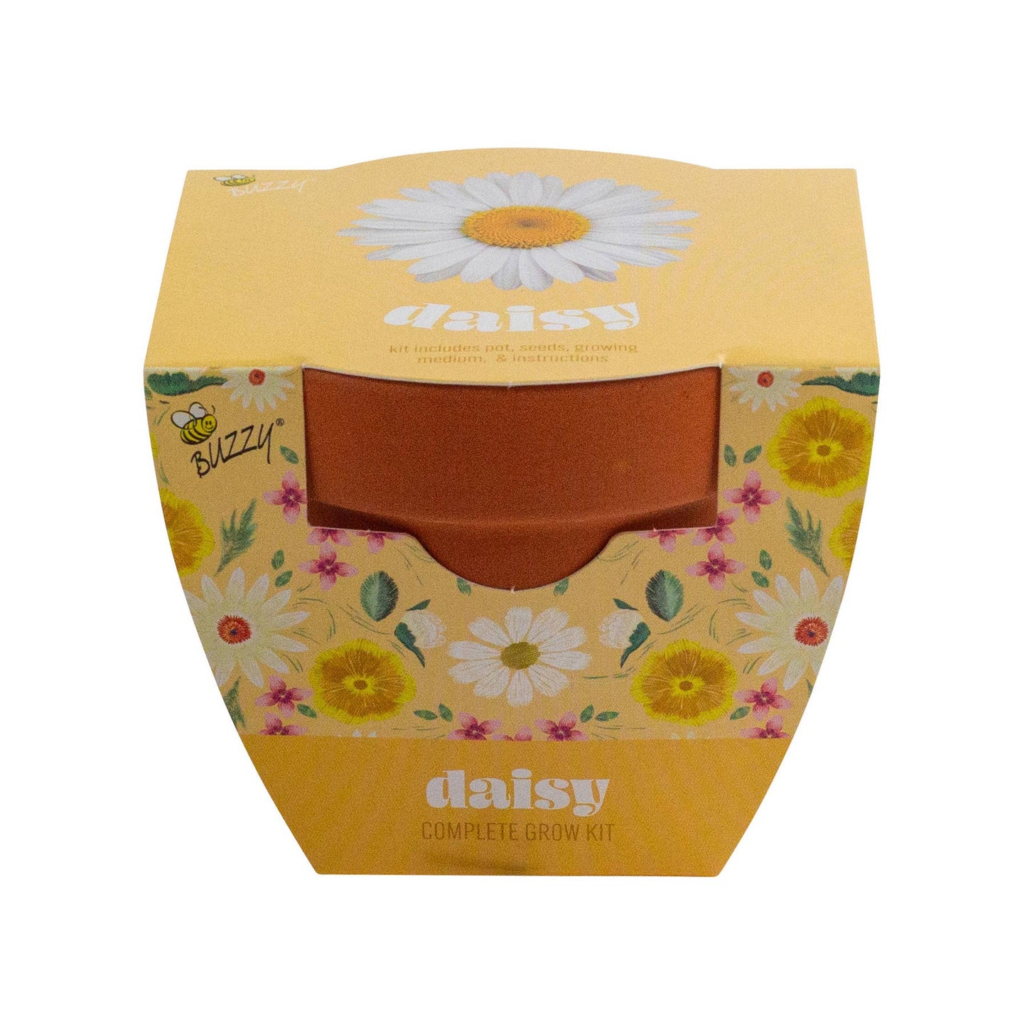 Buzzy Seeds Classic (7cm) Terra Cotta Grow Kit - Daisy