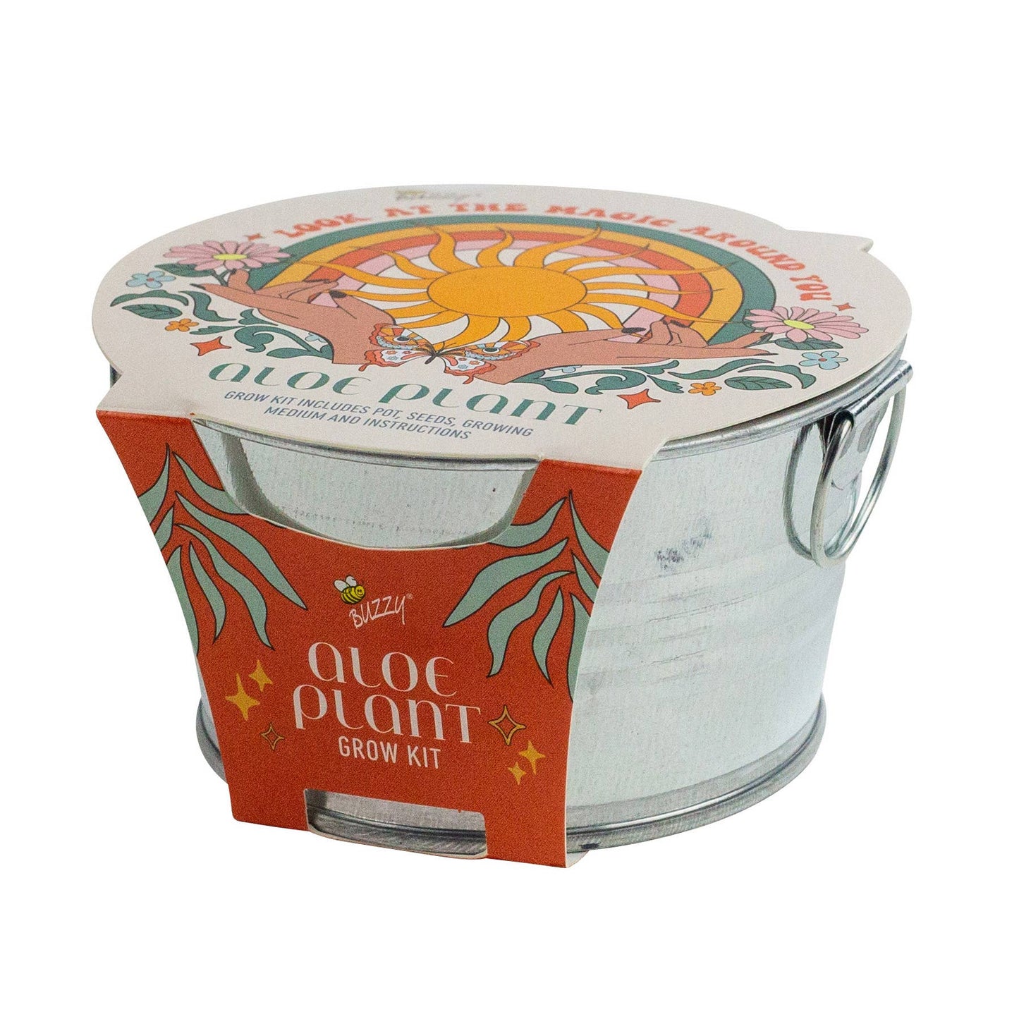 Buzzy Seeds Mini Galvanized Basin - Aloe Plant Grow Kit