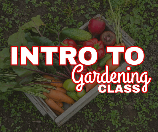 INTRO TO GARDENING CLASS