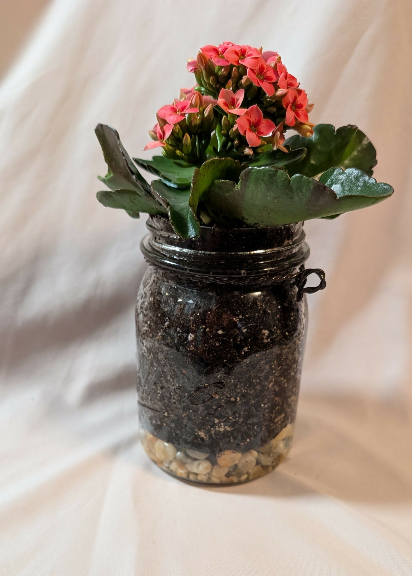 Mason jar planter