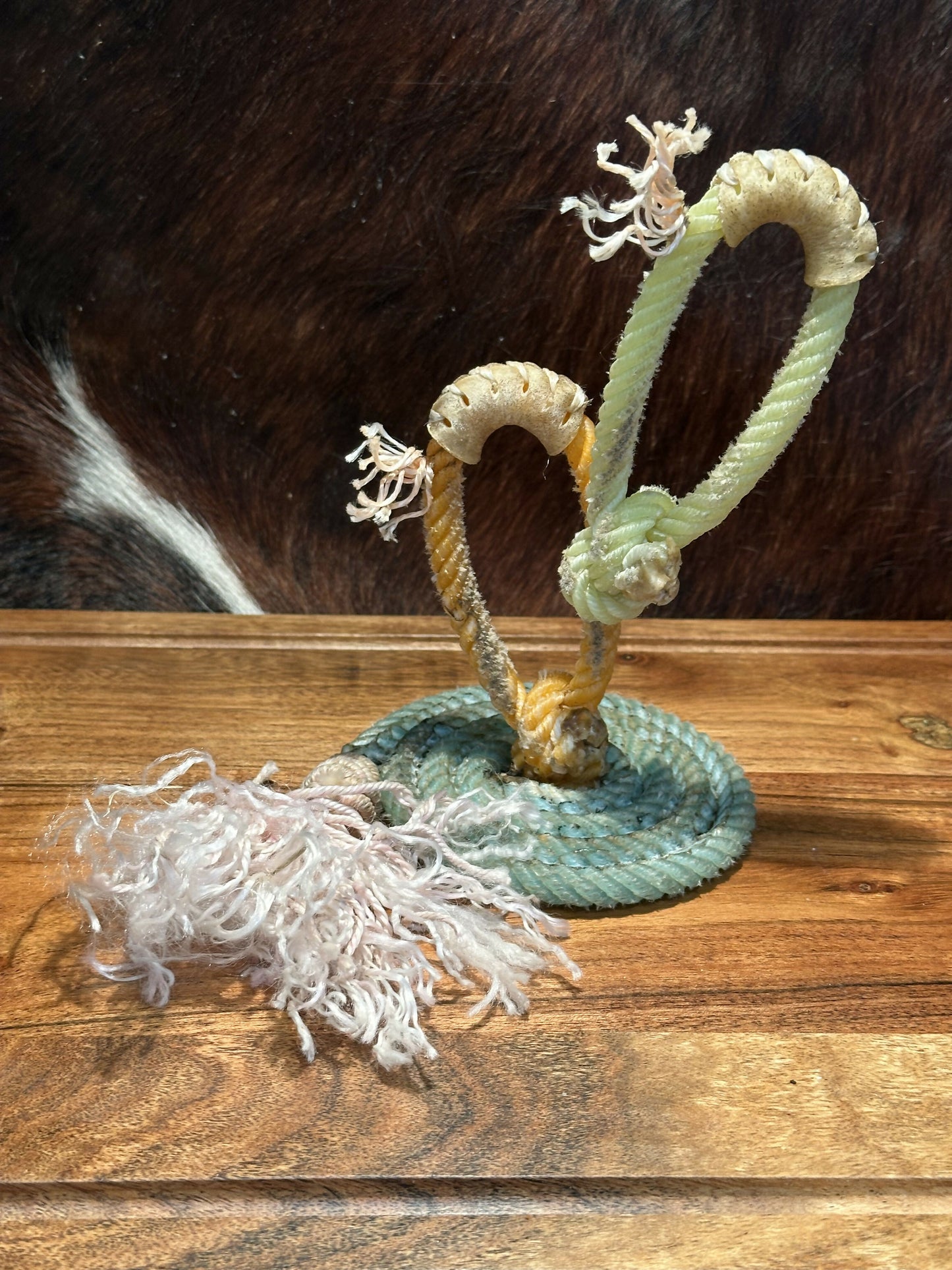 Small Cactus