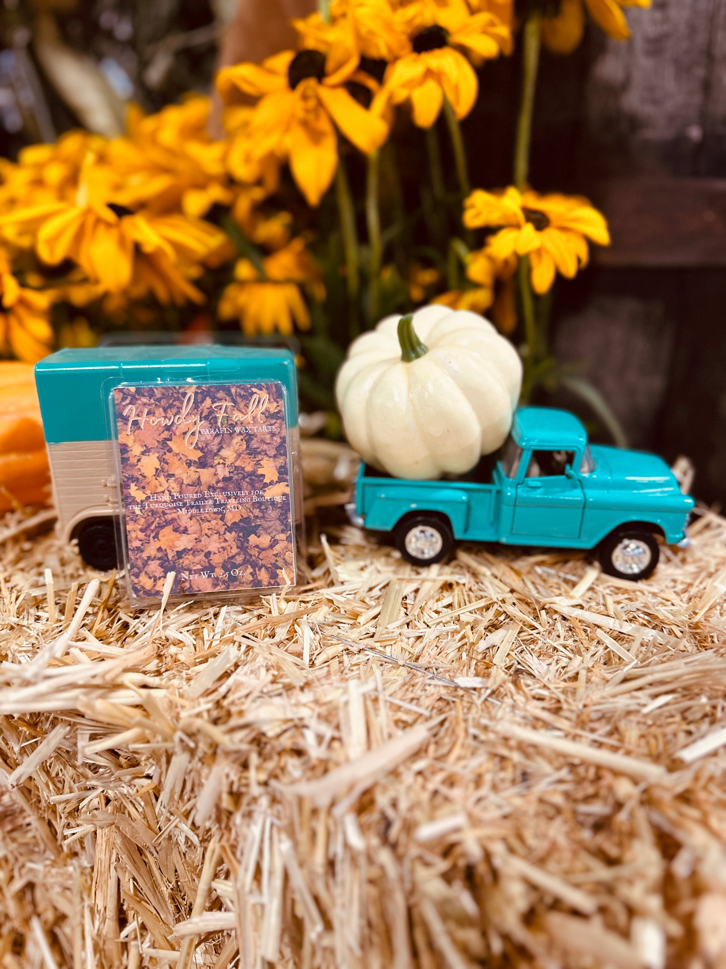 WAX MELTS