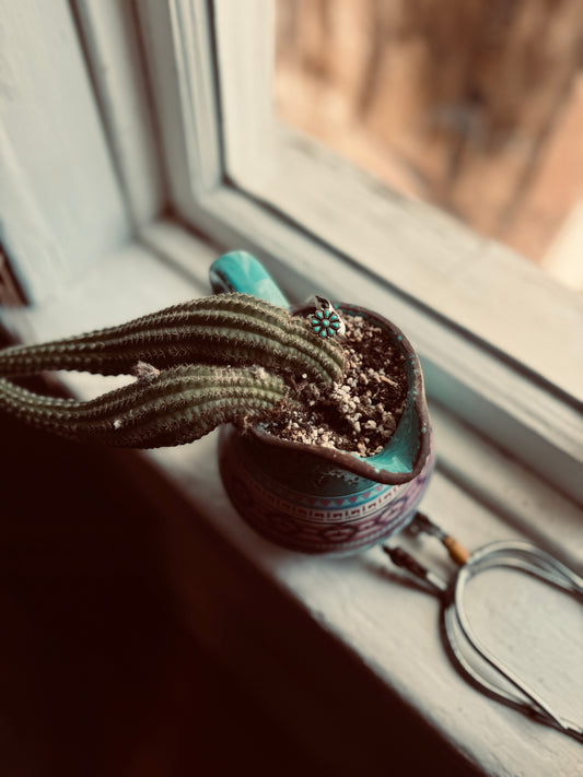 Turquoise Flower Ring