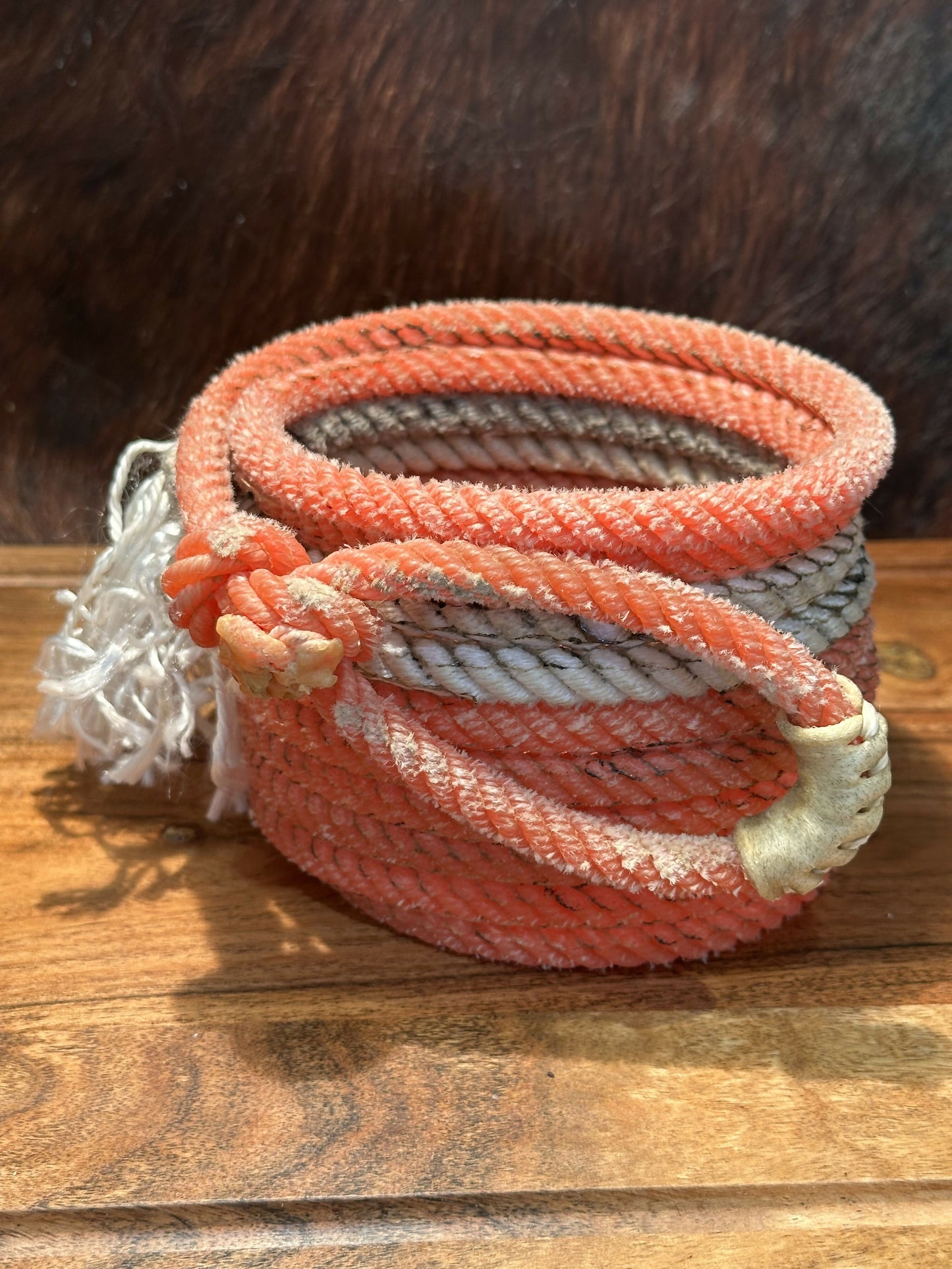 Orange/White Make up Brush Holder