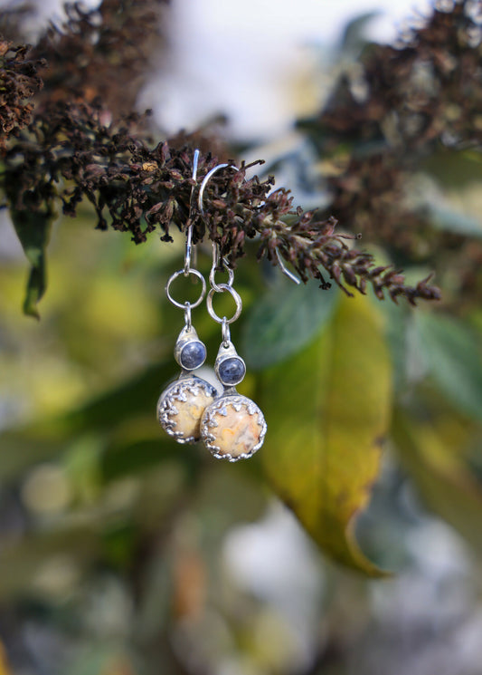 Crazy lace agate and sodalite earrings