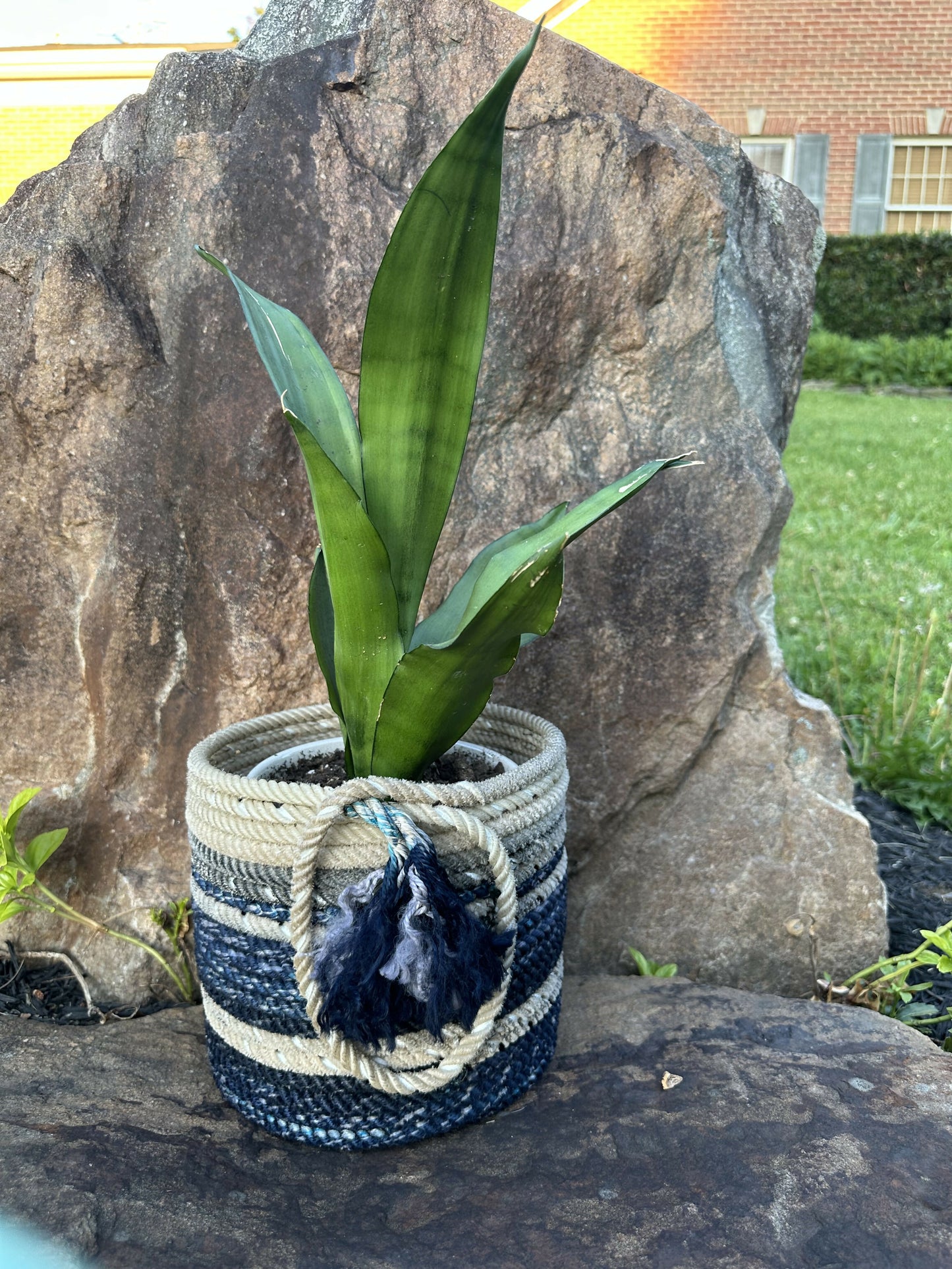 Blue Lace Crock