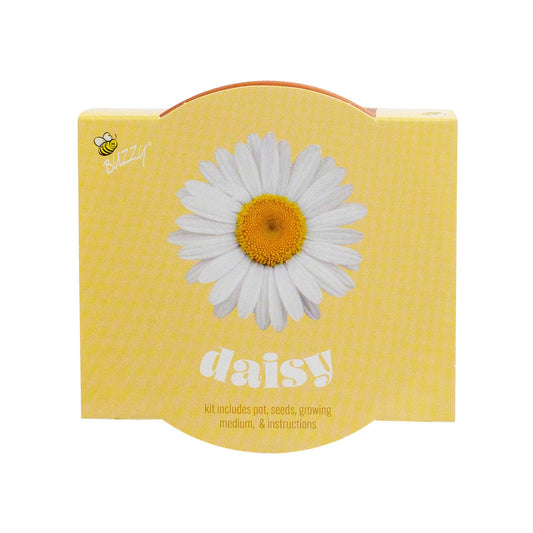 Buzzy Seeds Classic (7cm) Terra Cotta Grow Kit - Daisy