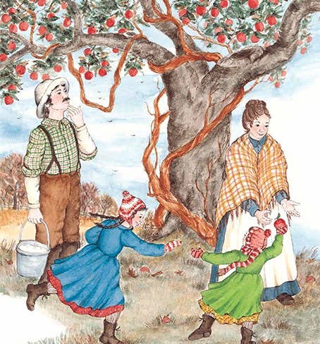 Apple Tree Christmas Childrens Book