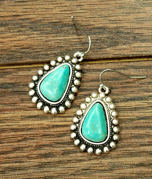 Obshaped Turquoise Earrings