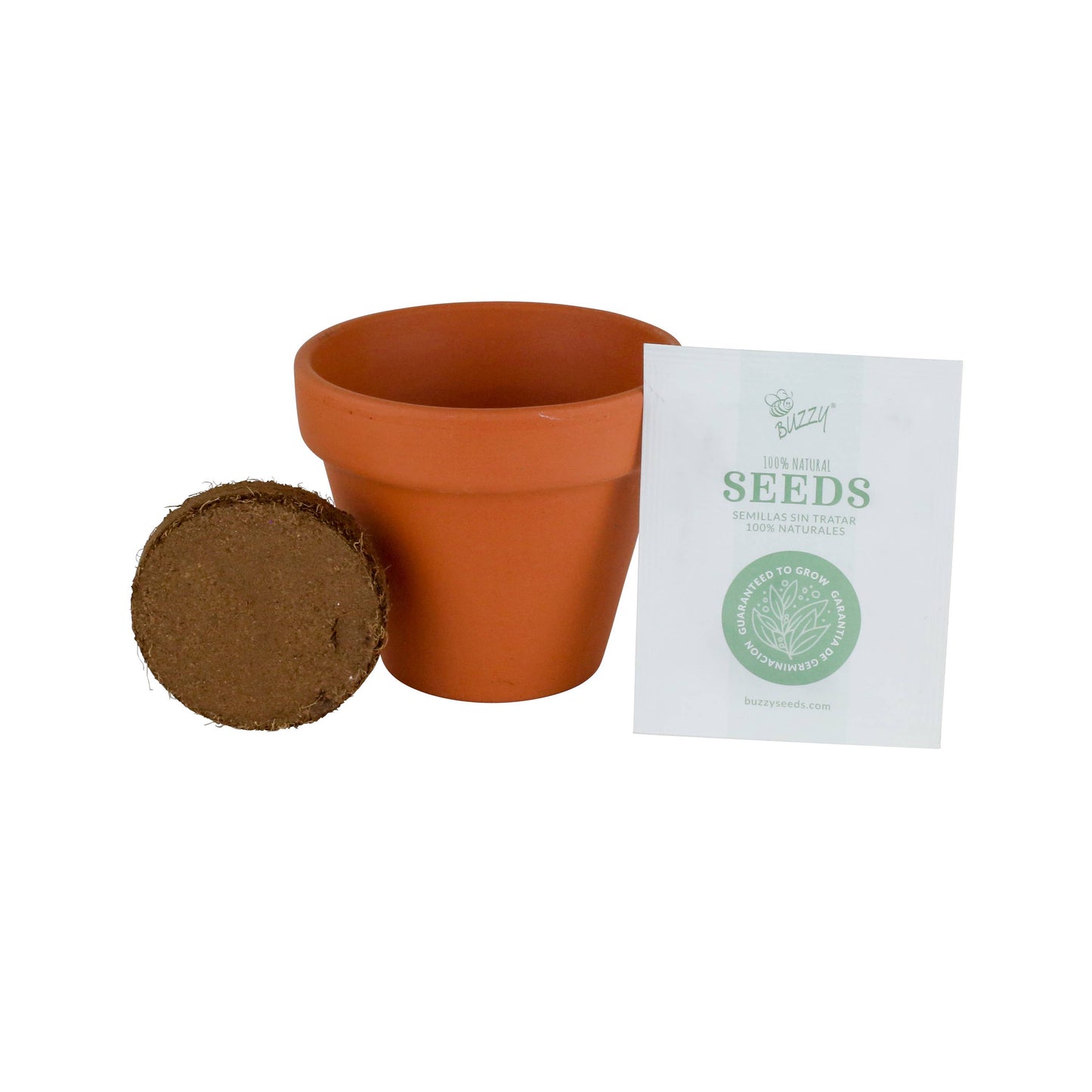 Buzzy Seeds Classic (7cm) Terra Cotta Grow Kit - Daisy