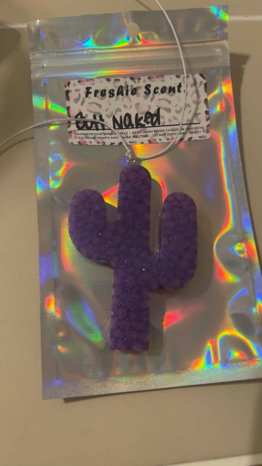 mini purple cactus