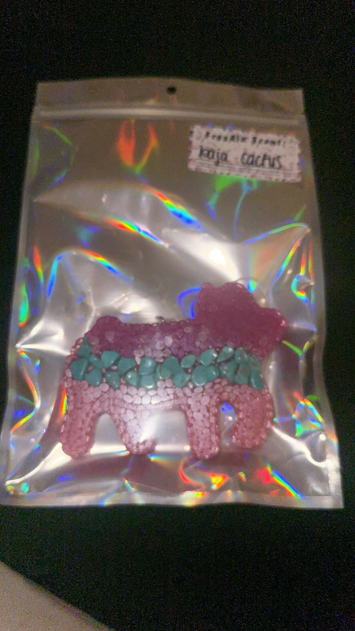 pink and turquoise pig